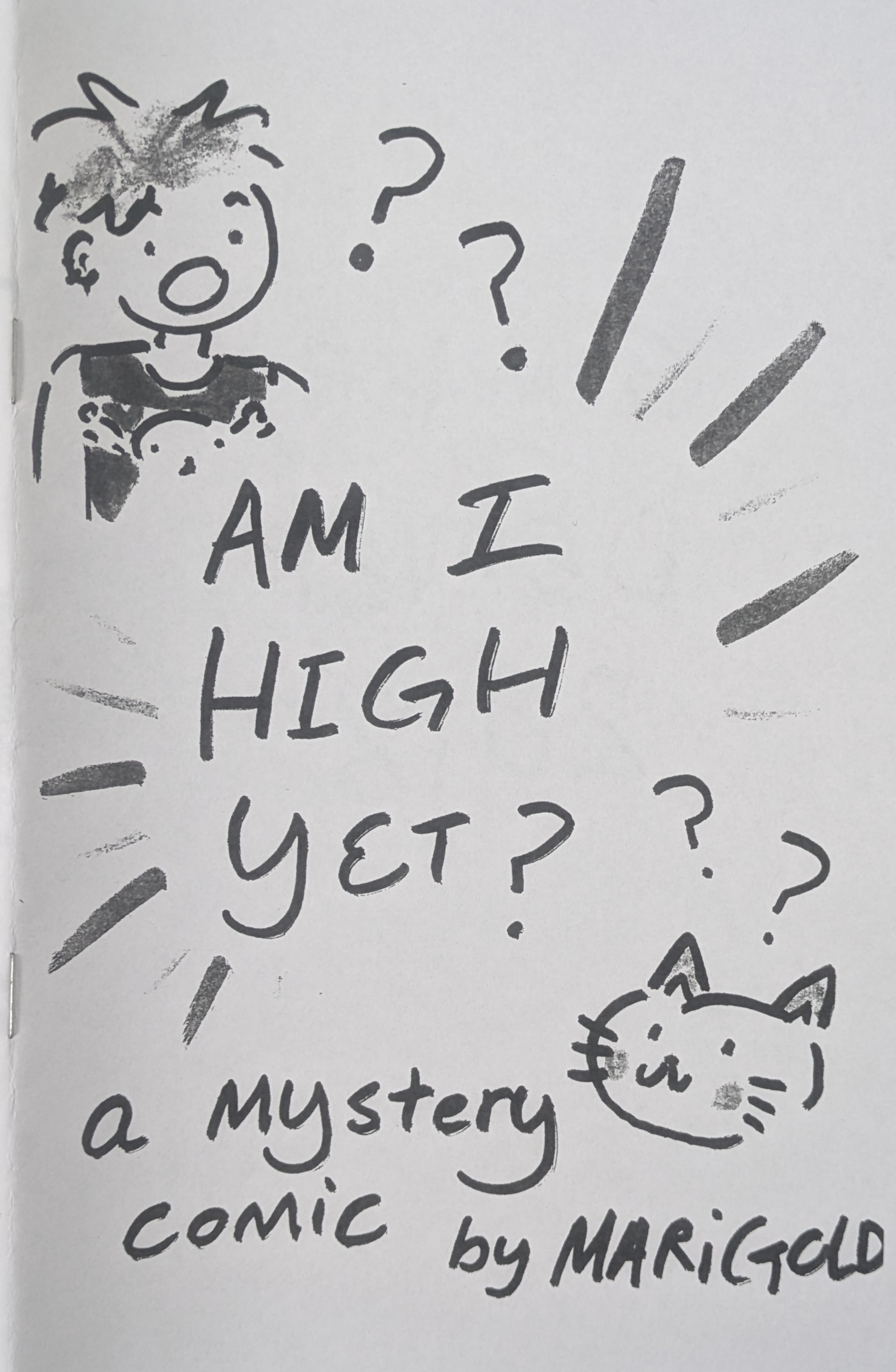 The cover of the zine “Am I High Yet?” An illustrated Mystery.
