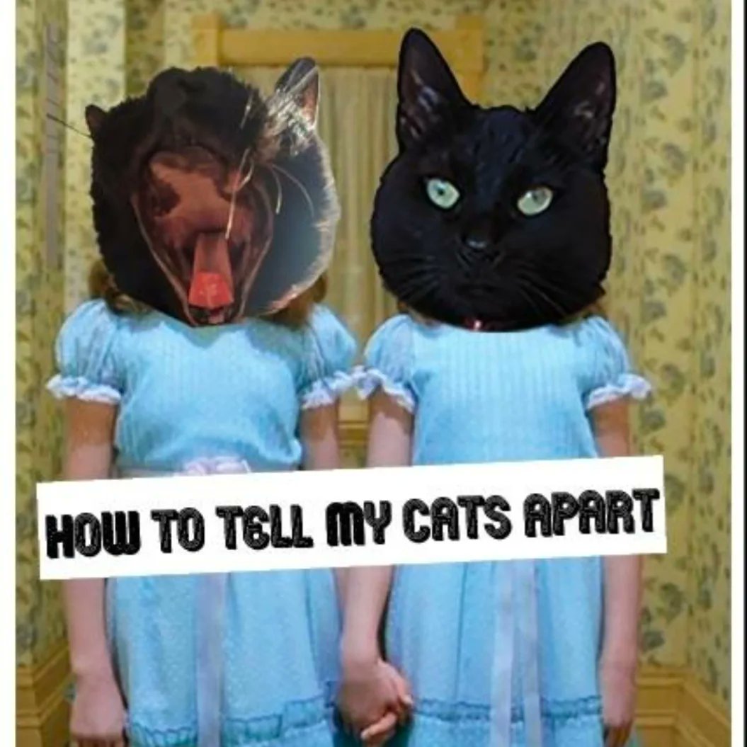  The cover of the zine “How to Tell My Cats Apart.” The famous twin girls from Kubrick’s film The Shining stand in a hallway. They are wearing matching outfits and holding hands. Their heads have been replaced in photoshop by the heads of two black cats.